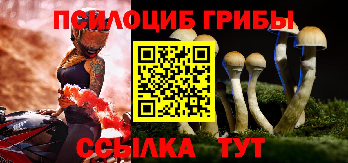Галлюциногенные грибы Psilocybe  Вход с VPN  Ефремов 